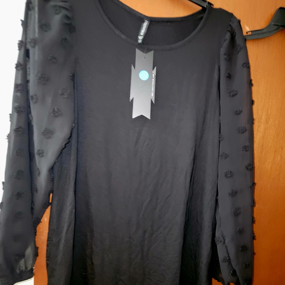 Crazy Train Black Sheer Sleeve Top